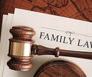 Family Law: Text, Cases, and Materials