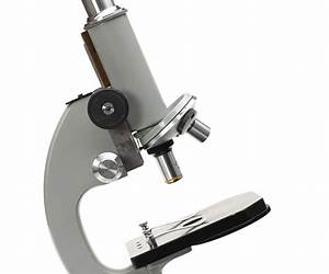 Microscopes: How to choose them, use them, and look after them